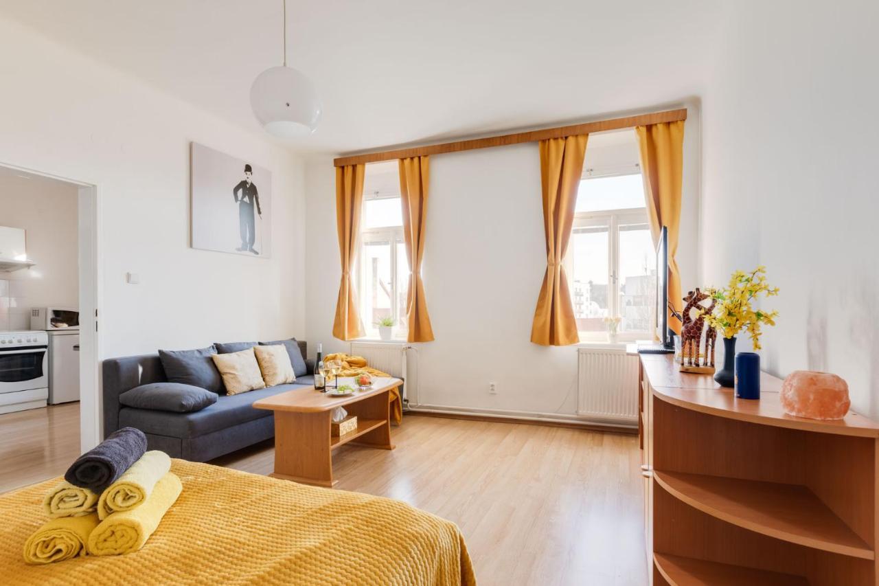Sunshine Apartment Near The City Center 布拉格 外观 照片